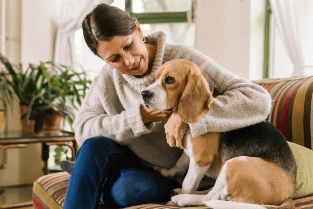 Emotional Support Dog